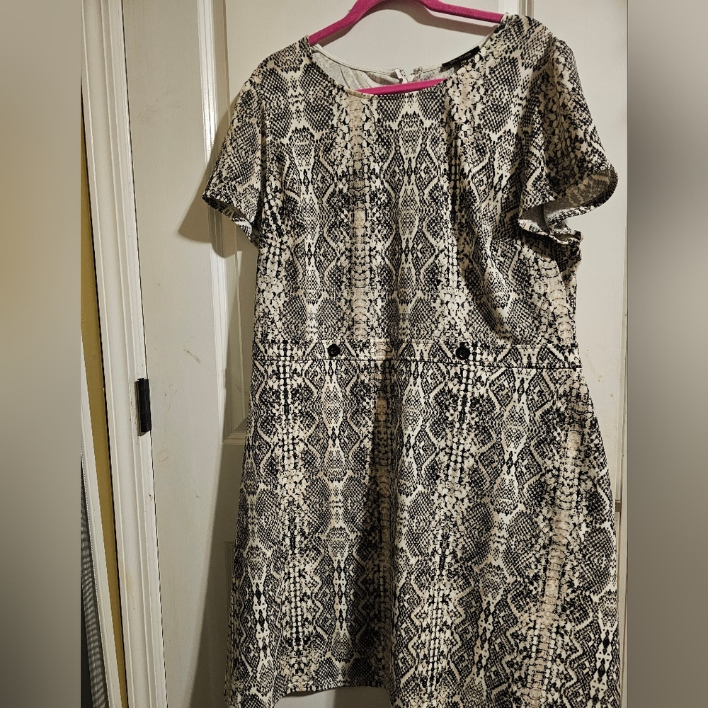 City studio snake print dress